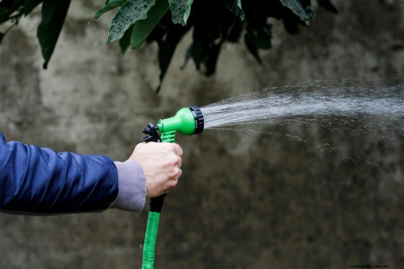 Winterize Fall Planters: Expert Tips for Stunning Seasonal Displays