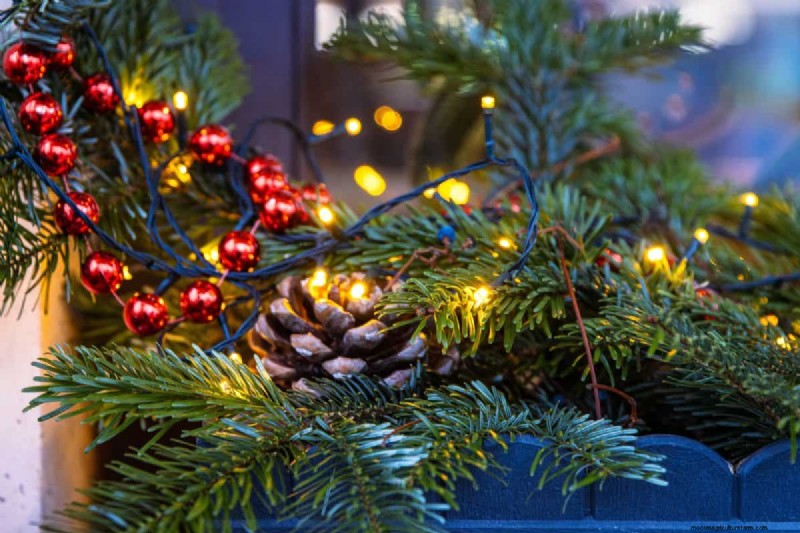 Winterize Fall Planters: Expert Tips for Stunning Seasonal Displays