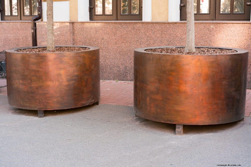 Winterize Fall Planters: Expert Tips for Stunning Seasonal Displays