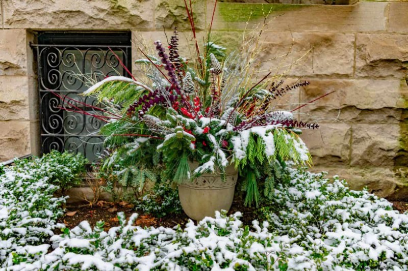 Winterize Fall Planters: Expert Tips for Stunning Seasonal Displays