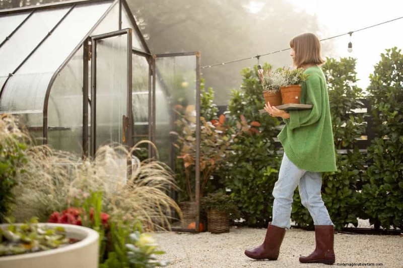 Winterize Fall Planters: Expert Tips for Stunning Seasonal Displays