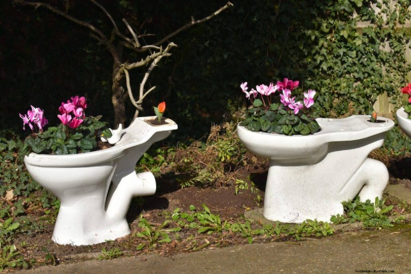 Winterize Fall Planters: Expert Tips for Stunning Seasonal Displays