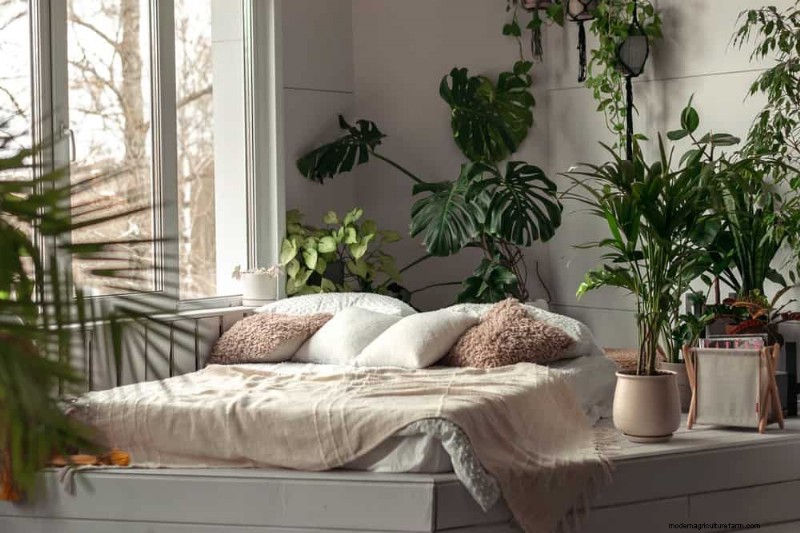 Monstera Repotting Guide: 9 Steps for Healthy Growth