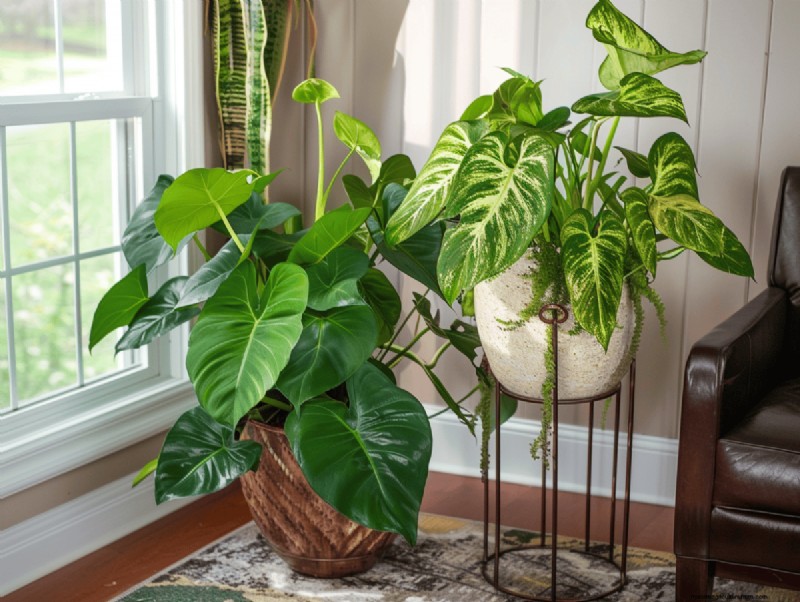 15 Stunning Houseplant Combinations for a Welcoming Entryway