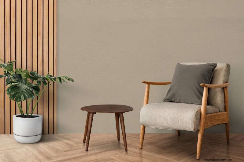 15 Best Houseplants for a Brighter, More Inviting Living Room