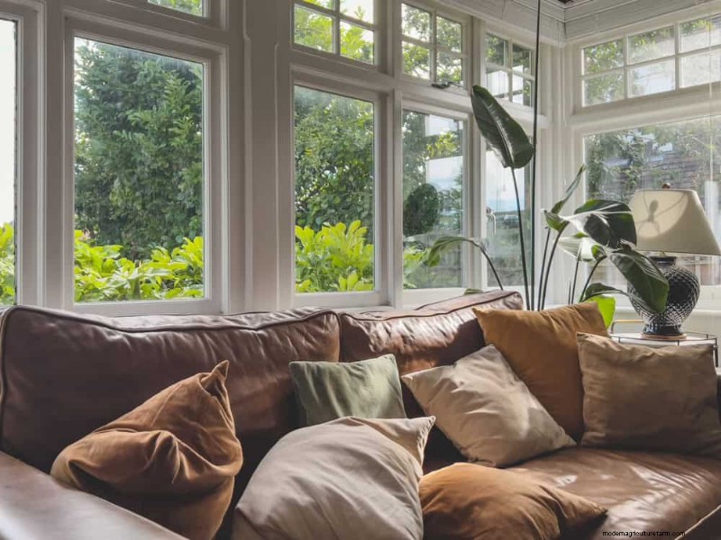 15 Best Houseplants for a Brighter, More Inviting Living Room