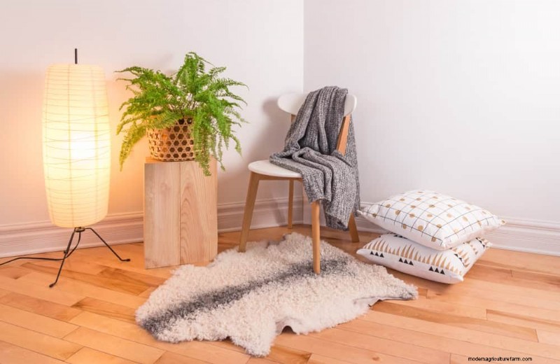 15 Best Houseplants for a Brighter, More Inviting Living Room