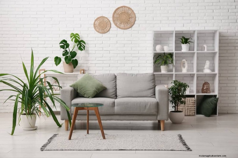 15 Stunning Houseplant Arrangements to Elevate Your Home Decor