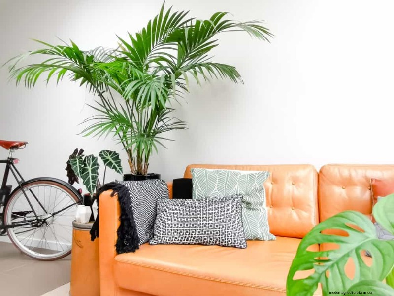 15 Stunning Houseplant Arrangements to Elevate Your Home Decor