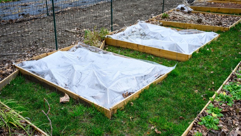 Winter Garden Prep: A Comprehensive Guide to Protect Your Plants