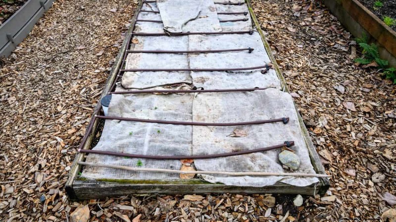 Winter Garden Prep: A Comprehensive Guide to Protect Your Plants