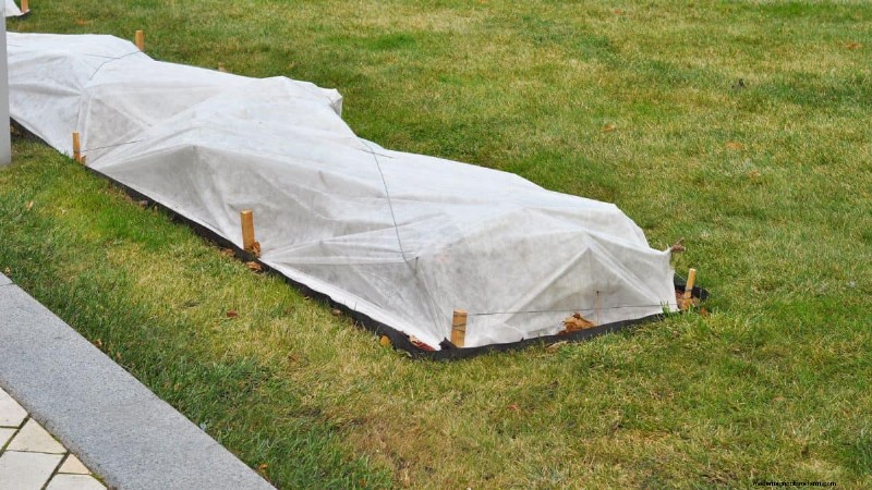 Winter Garden Prep: A Comprehensive Guide to Protect Your Plants