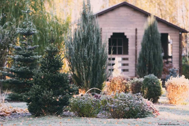 Winter Garden Prep: A Comprehensive Guide to Protect Your Plants