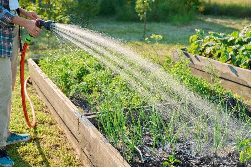 Winter Garden Prep: A Comprehensive Guide to Protect Your Plants