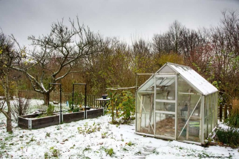 Winter Garden Prep: A Comprehensive Guide to Protect Your Plants