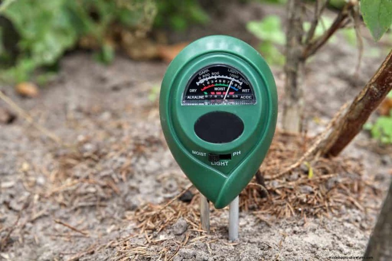 Winter Garden Prep: A Comprehensive Guide to Protect Your Plants