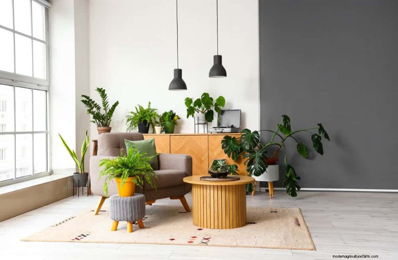 15 Best Foliage Houseplants for Stunning Home Decor
