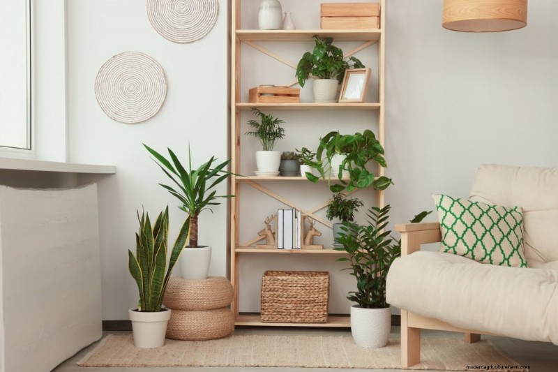 Best Houseplants for Small Spaces: 15 Compact & Beautiful Varieties