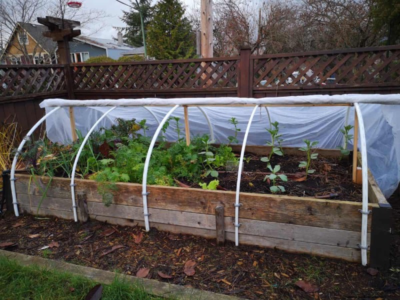 Protect Your Plants from Frost: A Gardener s Guide