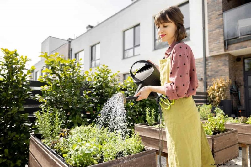 Protect Your Plants from Frost: A Gardener s Guide
