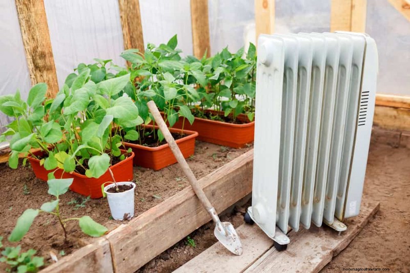 Protect Your Plants from Frost: A Gardener s Guide
