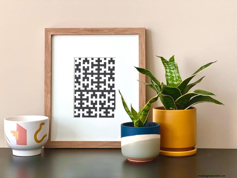 Best Houseplants for Small Spaces: 15 Low-Maintenance Options