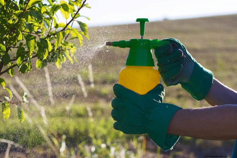 Mixing Fertilizer and Insecticide: A Comprehensive Guide
