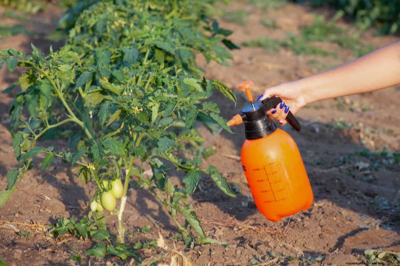 Horticultural Oil for Vegetables: Safe & Effective Pest Control