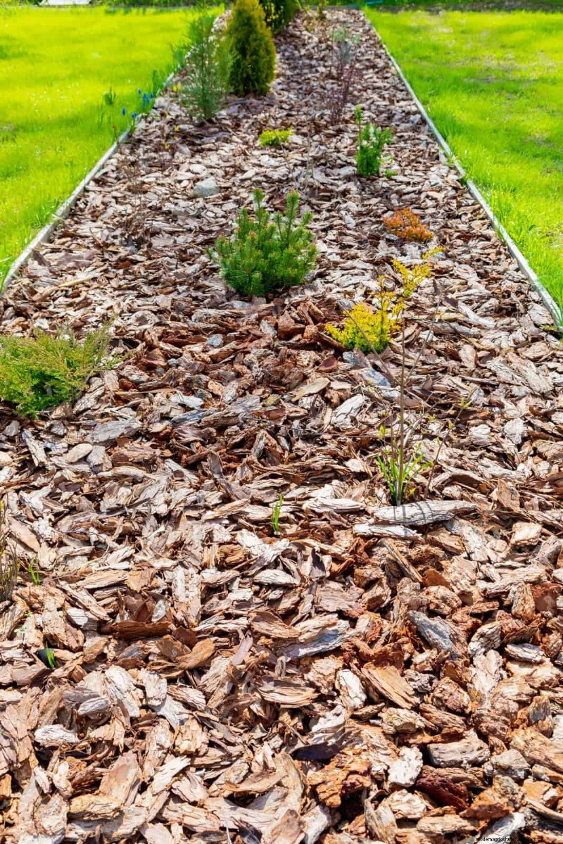 Winterize Your Garden: A Guide to Fall Mulching for Plant Protection