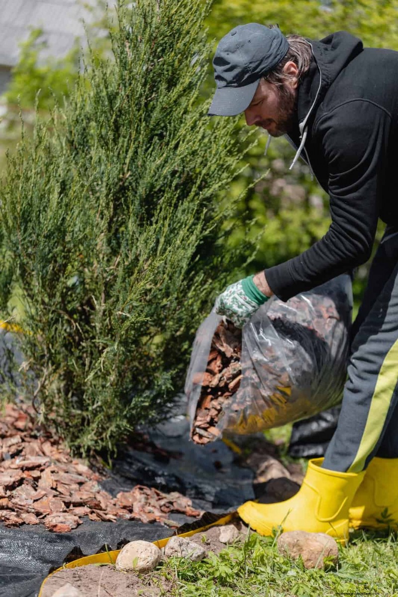 Winterize Your Garden: A Guide to Fall Mulching for Plant Protection