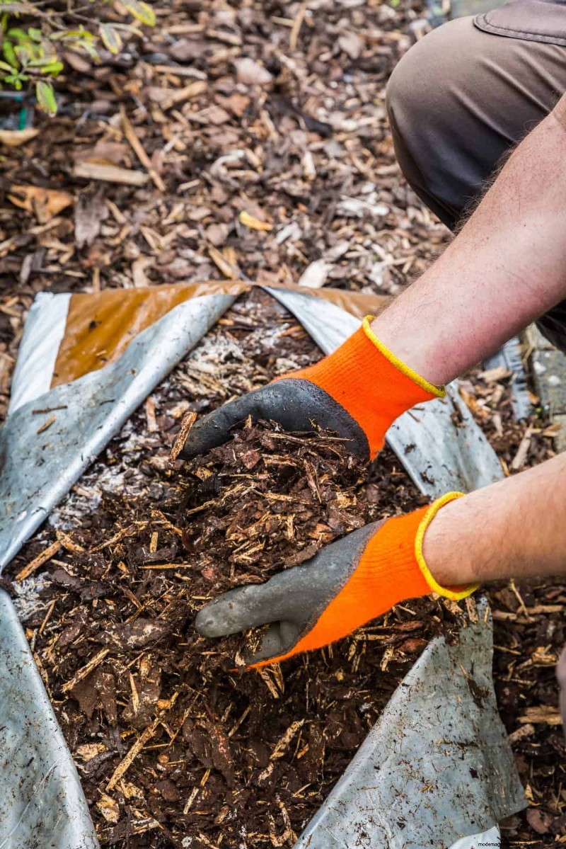 Winterize Your Garden: A Guide to Fall Mulching for Plant Protection