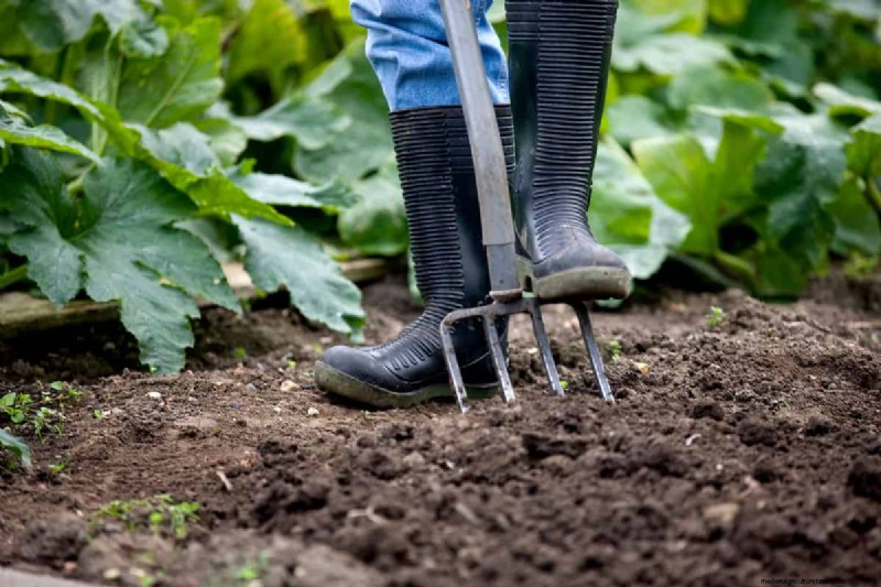 Essential Fall Gardening Tools: Prepare Your Garden for Winter