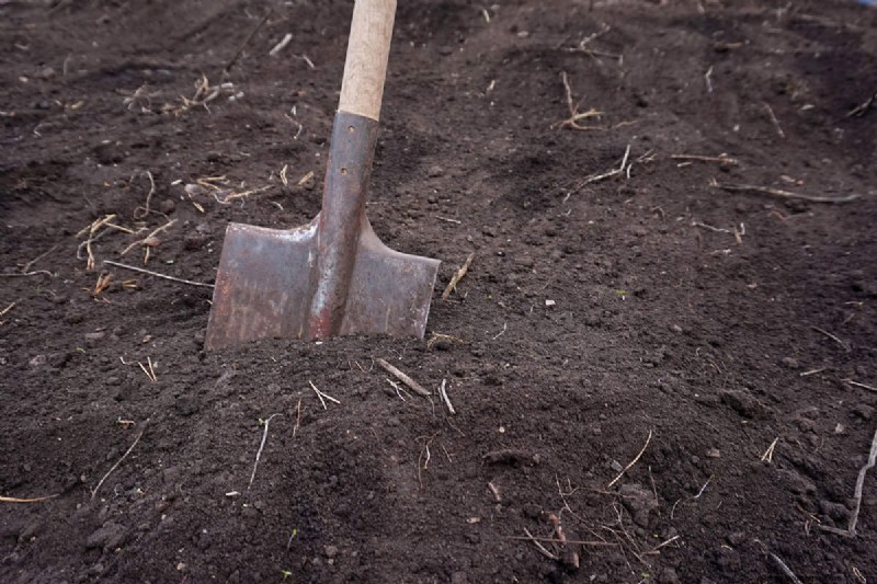 Essential Fall Gardening Tools: Prepare Your Garden for Winter