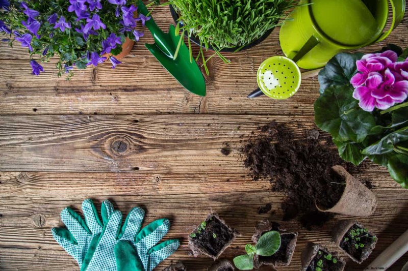 Essential Fall Gardening Tools: Prepare Your Garden for Winter