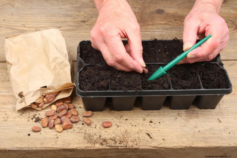Essential Fall Gardening Tools: Prepare Your Garden for Winter