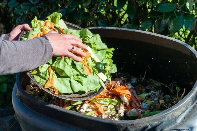 Essential Fall Gardening Tools: Prepare Your Garden for Winter