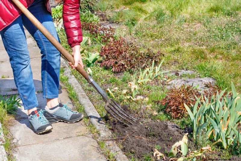 Essential Fall Gardening Tools: Prepare Your Garden for Winter