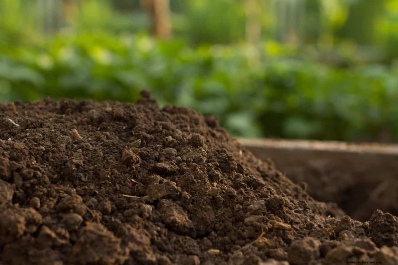 Fall Lawn Drainage: Causes, Solutions & Prevention