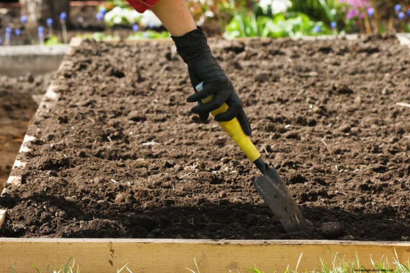 Protect Your Garden: 10 Fall Soil Hacks to Prevent Frost Damage