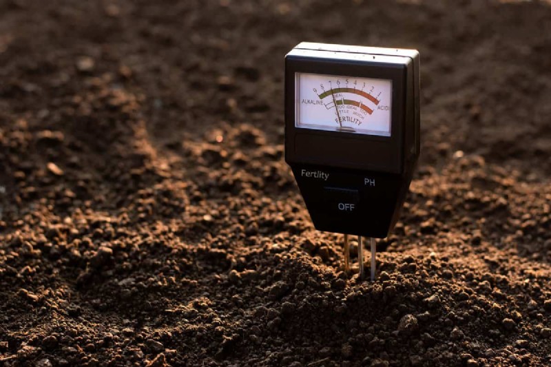 Protect Your Garden: 10 Fall Soil Hacks to Prevent Frost Damage