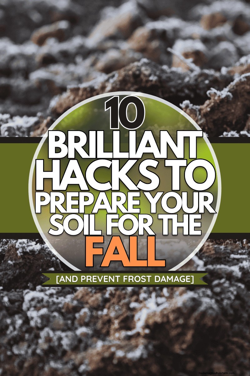 Protect Your Garden: 10 Fall Soil Hacks to Prevent Frost Damage