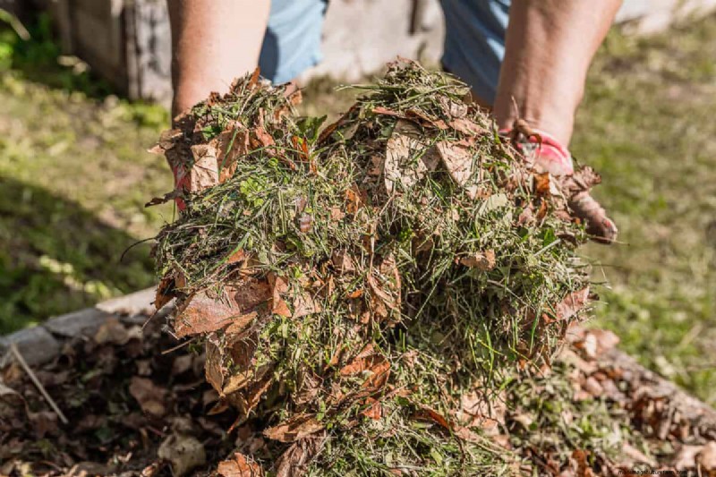 Fall Leaf Composting: A Complete Guide to Soil Enrichment