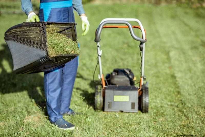 Ryobi Grass Bag Installation: Simple Guide for Clean Lawn Mowing