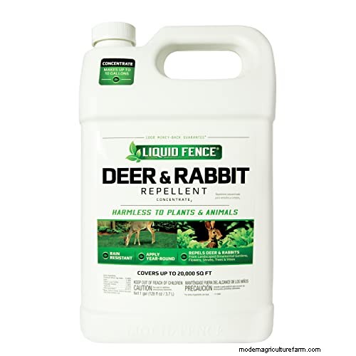 Protect Your Garden: 8 Effective Rabbit Deterrents & Prevention Strategies