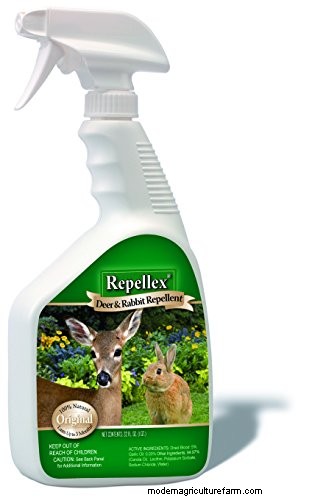 Protect Your Garden: 8 Effective Rabbit Deterrents & Prevention Strategies