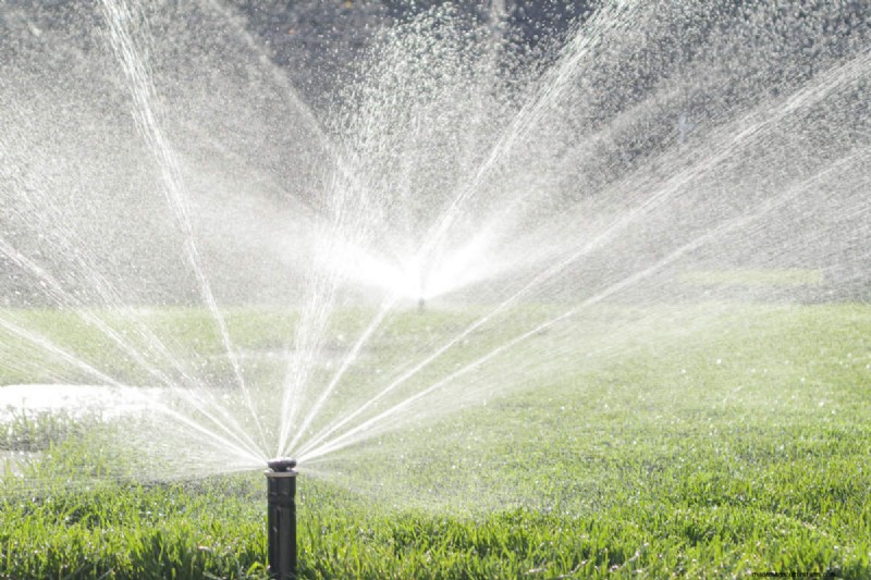 Protect Your Garden: 8 Effective Rabbit Deterrents & Prevention Strategies
