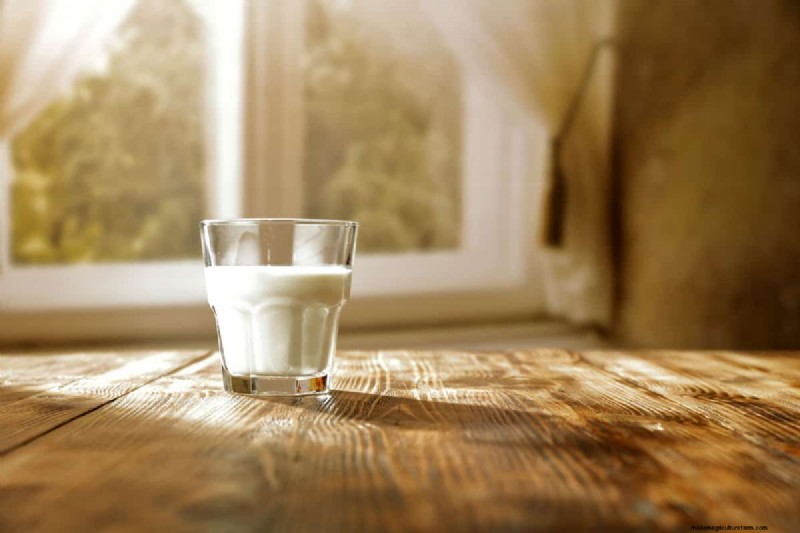 Milk as Fertilizer: Benefits & Drawbacks for Garden Soil