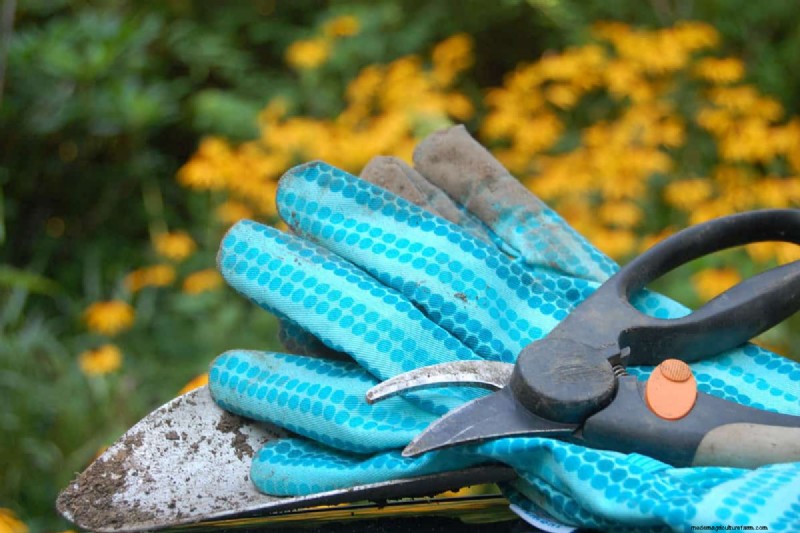 Sharpen Garden Shears: Effective DIY Methods for Optimal Cutting