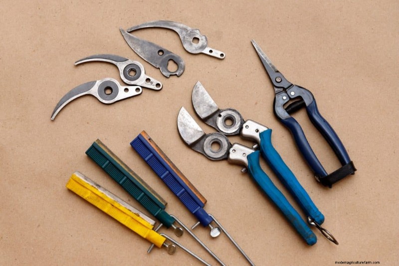 Sharpen Garden Shears: Effective DIY Methods for Optimal Cutting