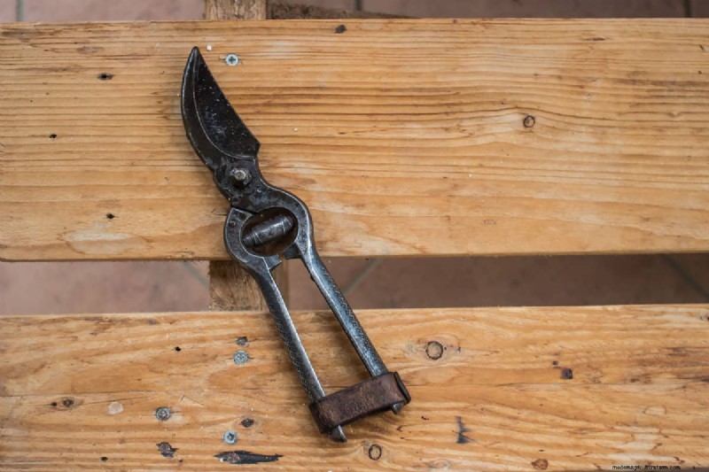 Sharpen Garden Shears: Effective DIY Methods for Optimal Cutting